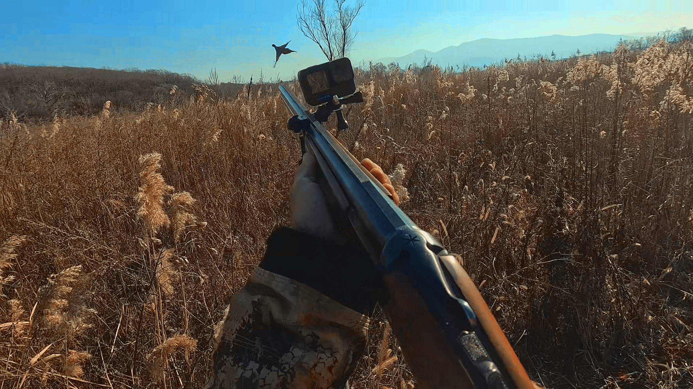 Охота на Фазана.\\ Ноябрь. смотреть онлайн