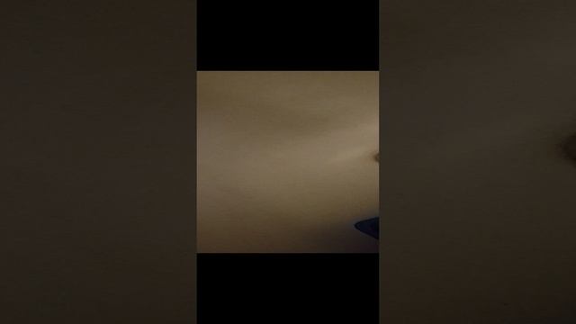 тупо просто хомяк. смотреть онлайн