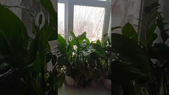 11 апреля 2024 г. смотреть онлайн