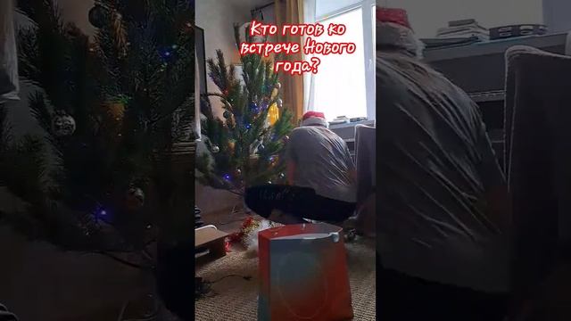 Украсили ёлку вместе с Томом! Теперь ко встрече Нового Года готовы! смотреть онлайн