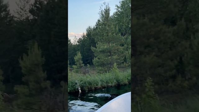 Таёжный окунь смотреть онлайн