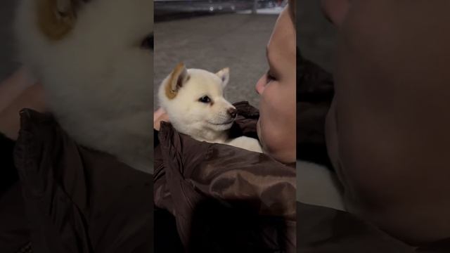 Подруга Тоби❄️ смотреть онлайн