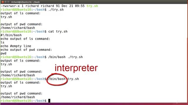 3. Sha-bang! смотреть онлайн