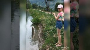 Кавказ 2020 июнь