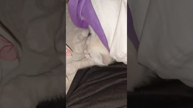 6 декабря 2023 г. смотреть онлайн