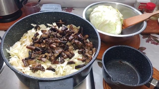 Сита КАПУСТА ПО- СЕЛЯНСЬКИ // тушкована капуста з салом і опеньками. смотреть онлайн