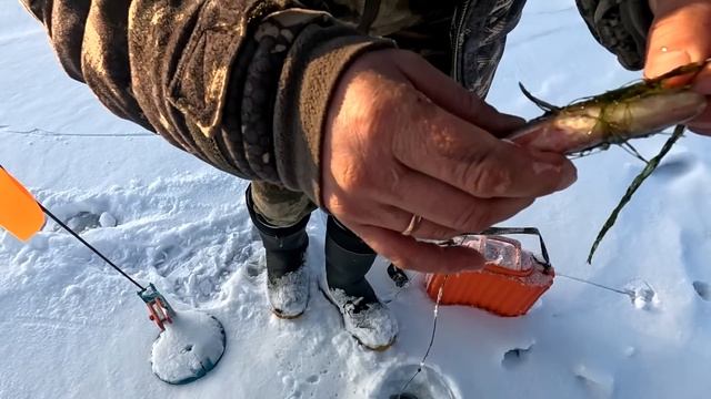 ПЕРВЫЙ ЛЕД / РЫБАЛКА НА ТАЁЖНОМ ОЗЕРЕ смотреть онлайн