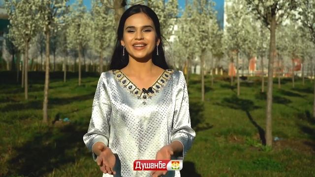 Шукӯҳи баҳор дар пойтахт смотреть онлайн