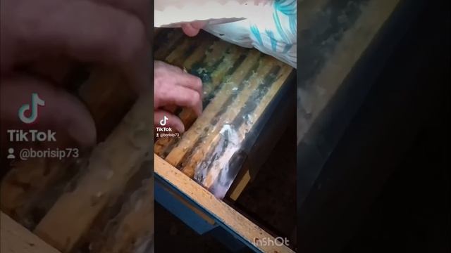Январь.Зимовка смотреть онлайн