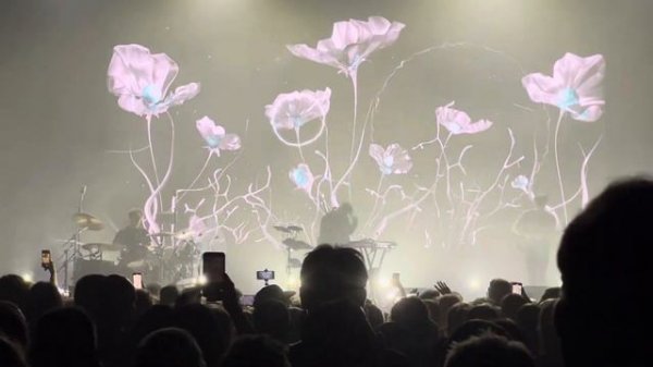 Дельфин — Моя live | Atmosphere 07.03.2024