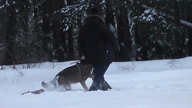 04 01 2022 г Цезарь атака 4 смотреть онлайн