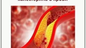 Защита сердца #коэнзим  #Q10  премиум -класса высший, проверенный временем #Биозан супер рез