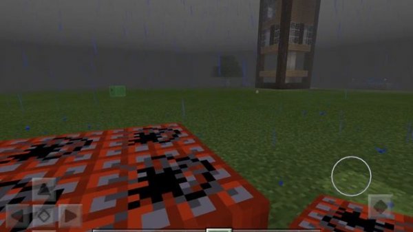 SVID_20250108_194613_1.mp4