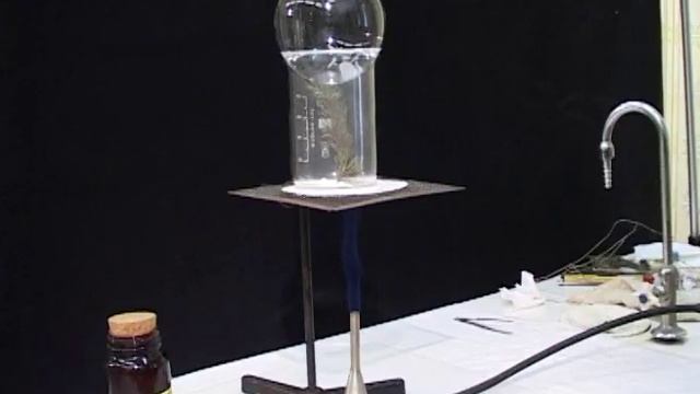 Возгонка бензойной кислоты смотреть онлайн