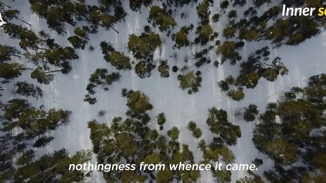 Try This For 7 Days , It's A Most Powerful Healing Technique Ever, Louise hay смотреть онлайн