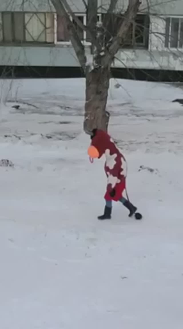 Новый год наступил... Праздники закончились...Весёлые звери идут домой...