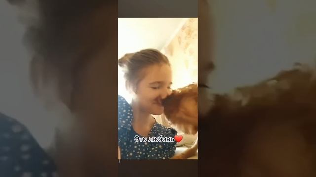 Это любовь ❤️ смотреть онлайн