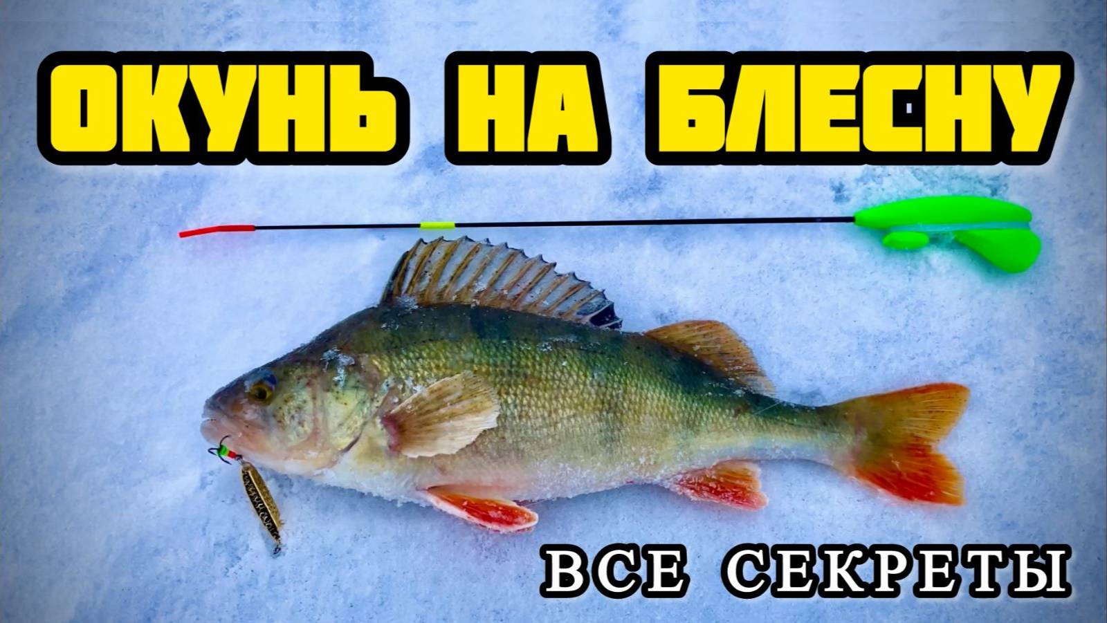 Окунь на блесну. Зимняя рыбалка. Техника и тактика ловли на вертикальную блесну со льда смотреть онлайн