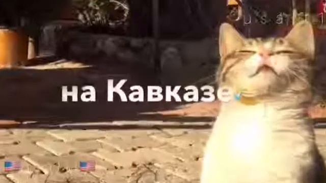 О май над😂😂 смотреть онлайн