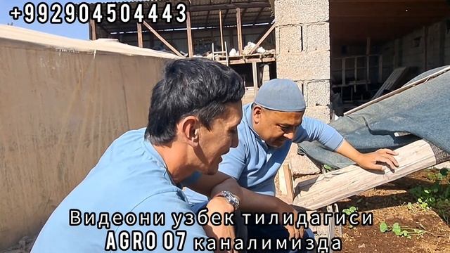 БИЗНЕС ДАР ТОЧИКИСТОН АЗ НОЛ