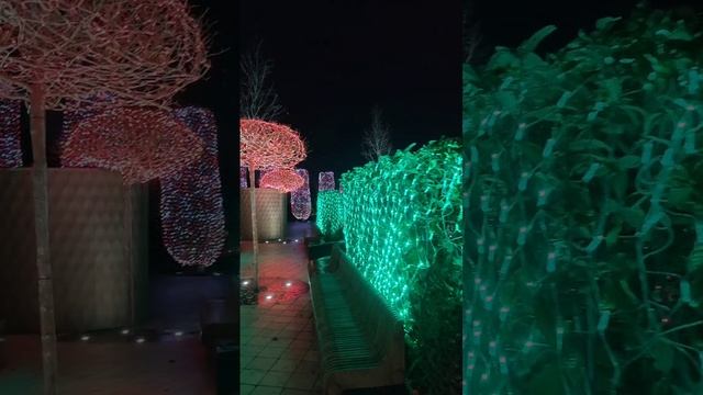 парк Галицкого Краснодар лабиринт из гирлянд смотреть онлайн