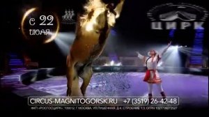 Рекламный блок ДОМАШНИЙ Магнитогорск 10.08.2023