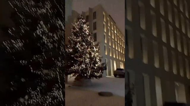 1000009711.mp4 смотреть онлайн