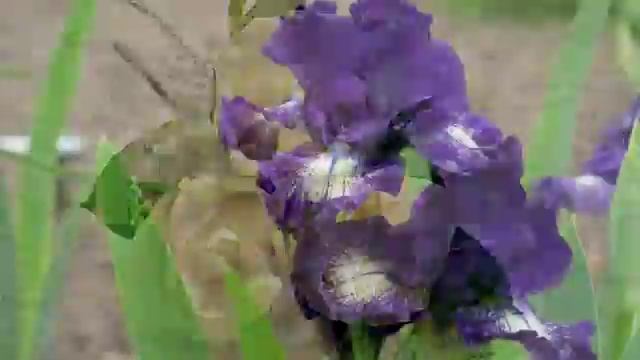 С Днем Рождения Екатерине смотреть онлайн