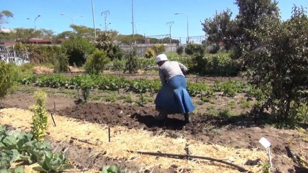 Organic 3.0 - Sustainable Food and Farming 🥦 🍅 🍎