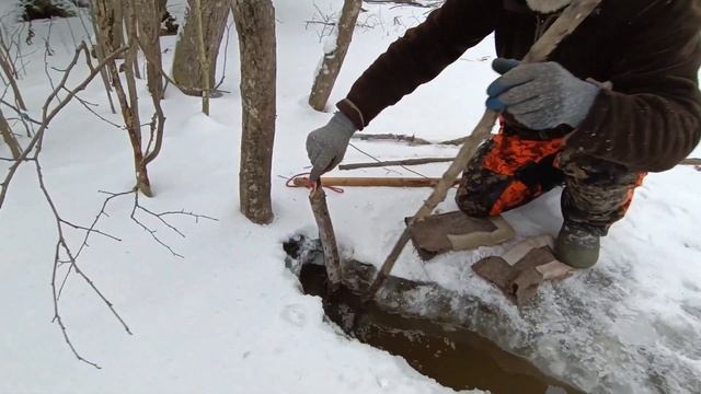 Hunting and fishing. How To Set Beaver Traps. Охота и рыбалка Установка капканов на бобра. смотреть онлайн
