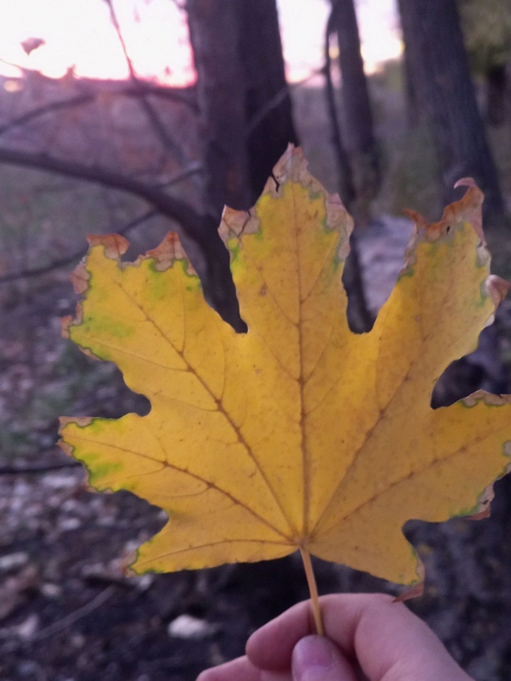 еду в Краснодар смотреть онлайн