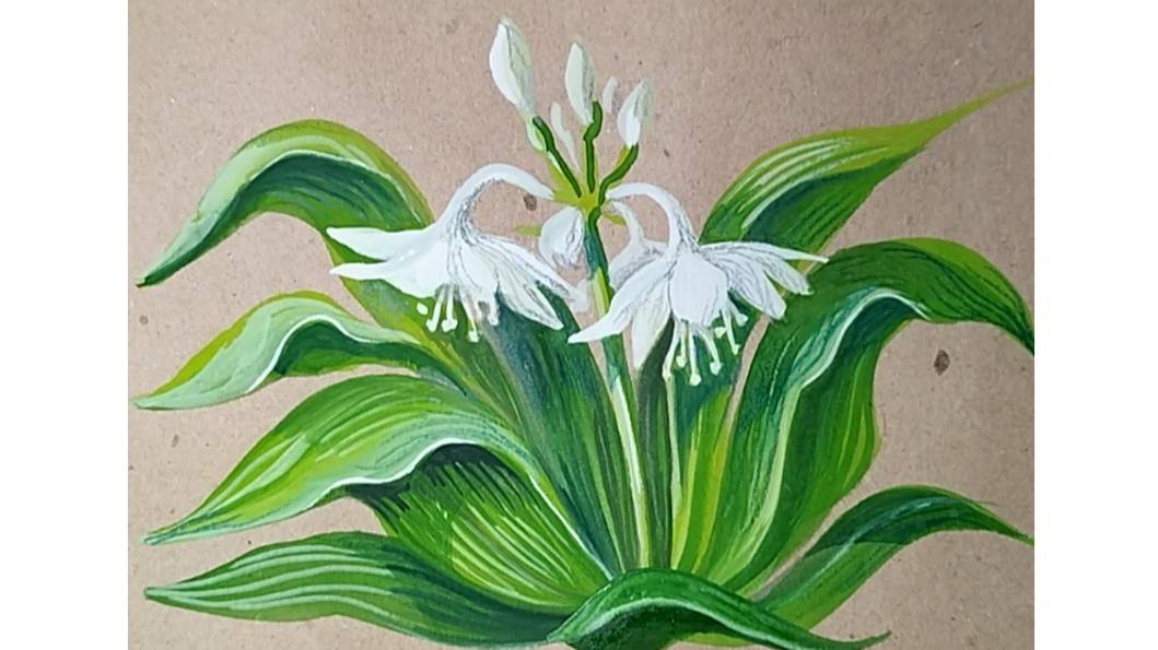 Амазонская лилия. Как просто и красиво нарисовать комнатный цветок гуашью. смотреть онлайн