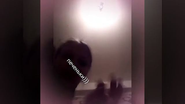 Я ем печеньки😼😼😼😼👍👍👍👏👏👏 смотреть онлайн