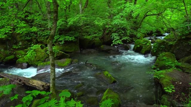 Звуки природы.Спокойствие лета.Звуки ручья. смотреть онлайн
