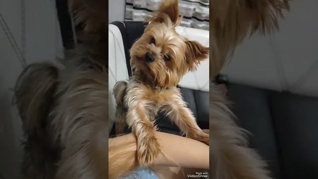 💓 смотреть онлайн