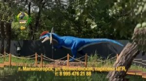 Рекламный блок СТС МАГНИТОГОРСК 09.08.2024