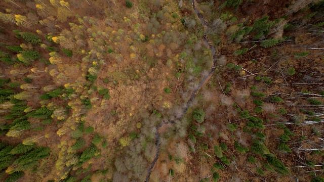 Осень в Пермском крае