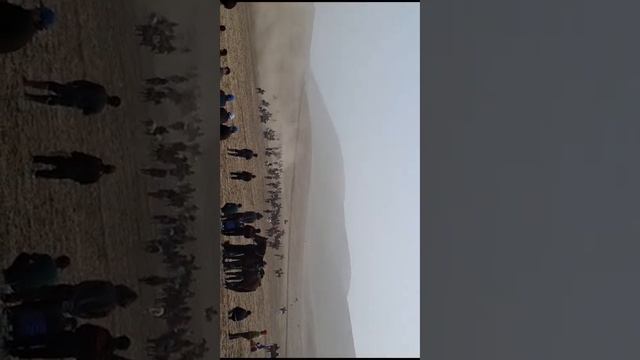 буз каши дар д смотреть онлайн