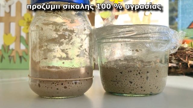 ΤΕΣΤ- συγκρίνουμε ένα ΔΥΝΑΤΟ και ΑΔΥΝΑΜΟ προζύμι 💪 πως πρέπει να είναι ένα υγιείς προζύμι σίκαλης👈 смотреть онлайн