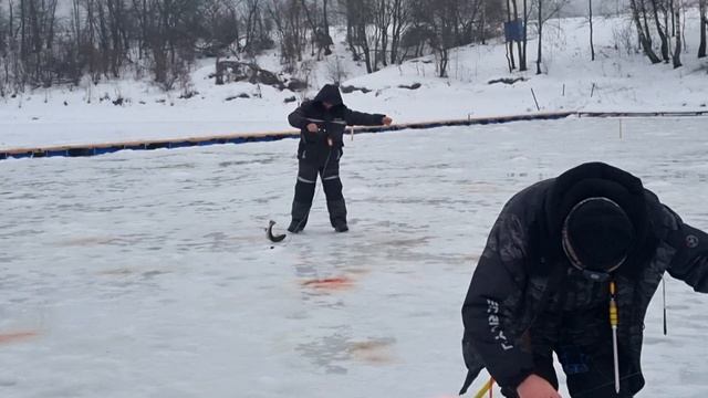 08-01-2025 смотреть онлайн