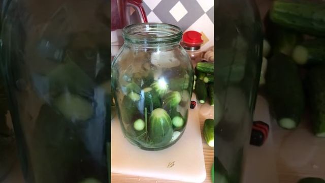#соленые огурцы смотреть онлайн