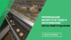 🎥Лента пометоудаления – все, что нужно знать о ней. Клетки для птиц серии "Multipro"