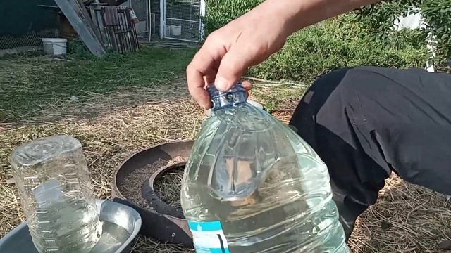 Чудо поилка для гусей .