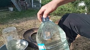 Чудо поилка для гусей .