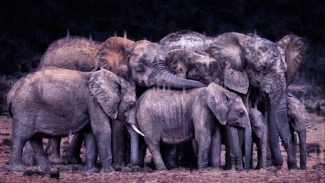 Большой Ногами - Луна, крокодил и корица смотреть онлайн
