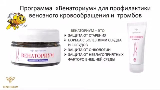 Семинар в Туле 9 ноября смотреть онлайн