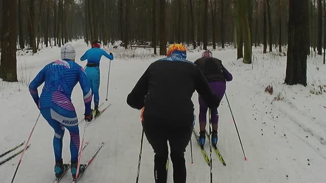 Контрольная тренировка, дабл, Волкуша, 08.01.2025 смотреть онлайн