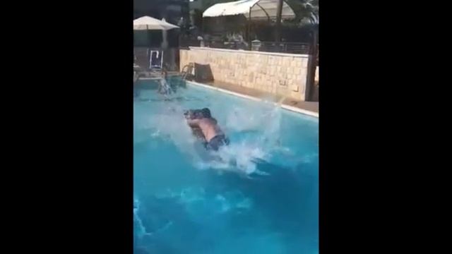 The RedBull Cliff Diving 2017. смотреть онлайн