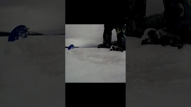 Fishing. We catch pike and pike perch. Рыбалка. Ловим щуку и судака в корягах. смотреть онлайн