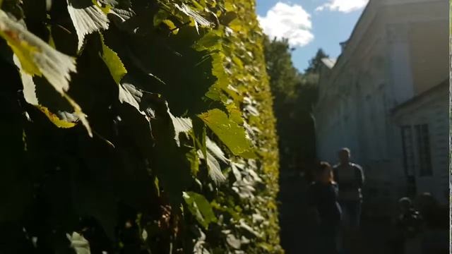 Петергоф в августе смотреть онлайн